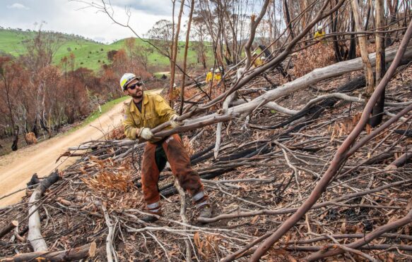 Firefighters clearing debris from wildfires in Victoria, Australia in February 2020. Credit: Interior Department / Alamy Stock Photo. Image ID: 2B8M4MN.